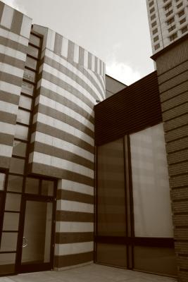 IMG_4903 copy.jpg