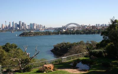 Sydney 04/05