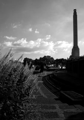 IMG_2374_437 copy.jpg