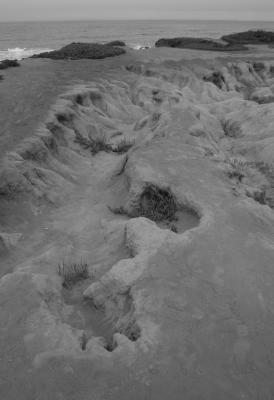IMG_4570 copy.jpg