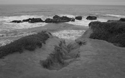 IMG_4579 copy.jpg
