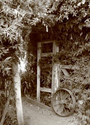 IMG_4622 copy.jpg