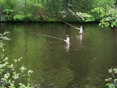 learning to fly fish .jpg