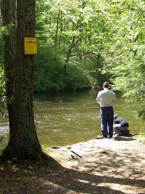 Trophy trout area .jpg