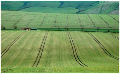 v3/68/519268/3/44929220.DSC_1504.farmland.jpg