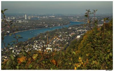 View from Drachenfels