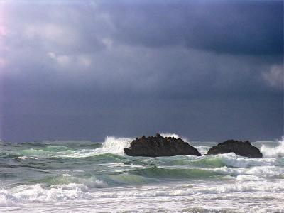 DSCN3137psml.jpg