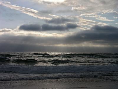 DSCN3173psml.jpg