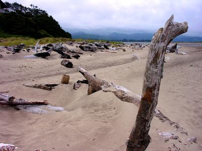 DSCN3281psml.jpg