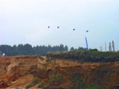 Kite Flying Contest