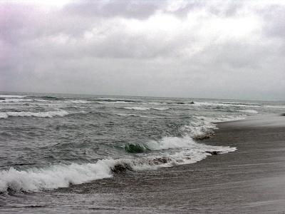DSCN3264psml.jpg