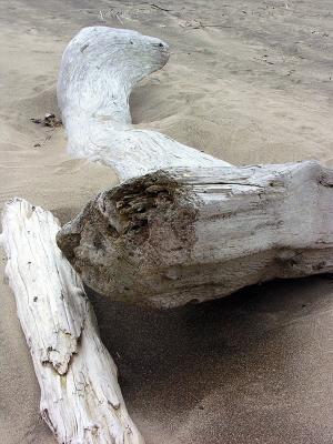 DSCN3294psml.jpg