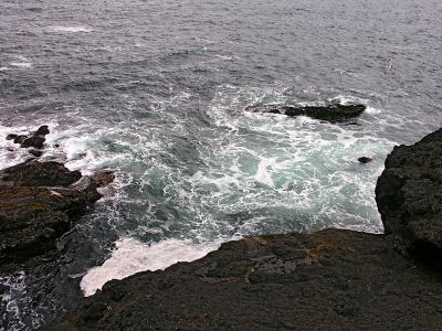 DSCN3314psml.jpg
