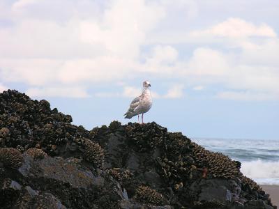 DSCN3332psml.jpg