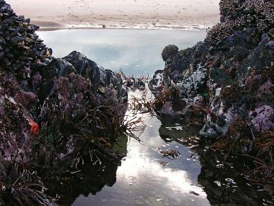 DSCN3349psml.jpg