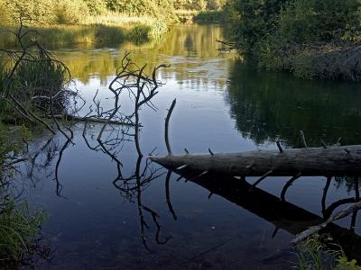 Little Spokane River Nature Preserve