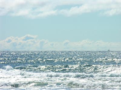 DSCN3516psml.jpg