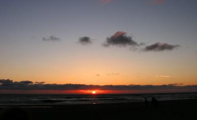 DSCN3537psml.jpg
