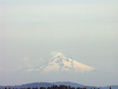 Oregon Coast 2005