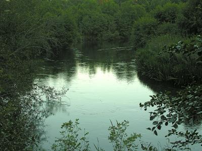 Little Spokane River Nature Preserve
