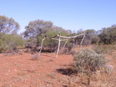 Remains of the old Homestead.jpg