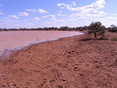 The orange lake Mileura.jpg