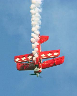 v3/68/574768/3/45810200.Nikon_D1X_20050702_0057web.jpg