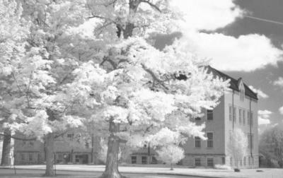 v3/68/574768/3/46977318.schoolinIR.jpg