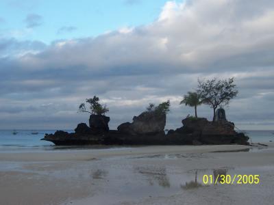 Reunion 2005_a 056.jpg