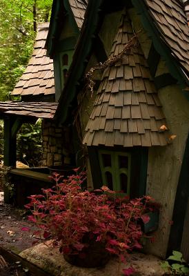 Little House in the Woods