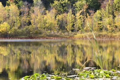 southwest_michigan