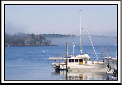 Days often start and end with fog. Here fog creeps up the river...