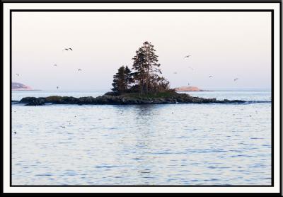 Seagulls are headed home on Ocean Point and the sun...