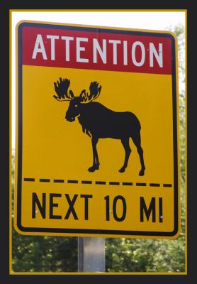 Typical Maine Caution called for!