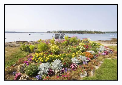 Flowers are at their peak on Ocean Point on the shore...
