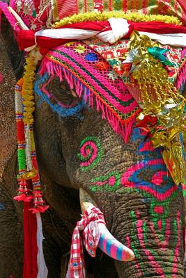 elephant-Si Satchanalai