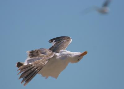 IMG_3288_NI.jpg