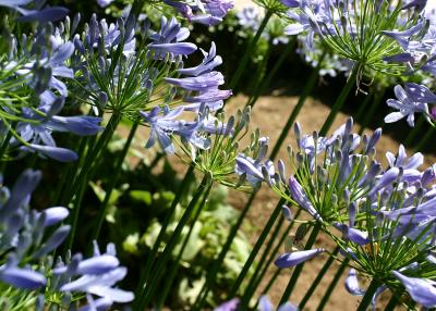 IMG_4005_NI.jpg