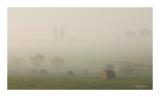 Fog on the farm in eastern Iowa