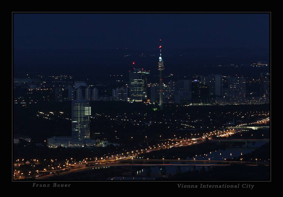 Wien vom Leopoldsberg