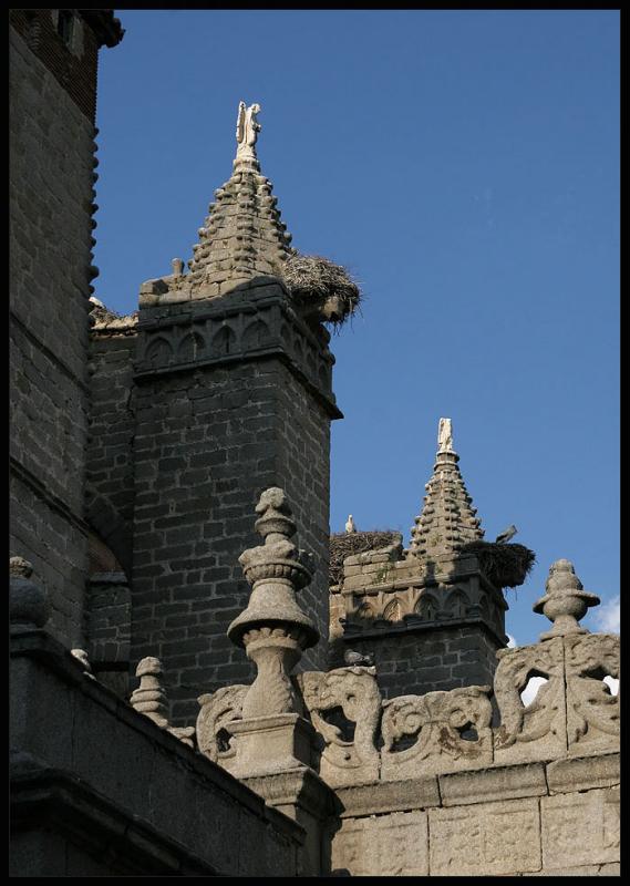 Avila,cathedral,residence of storks