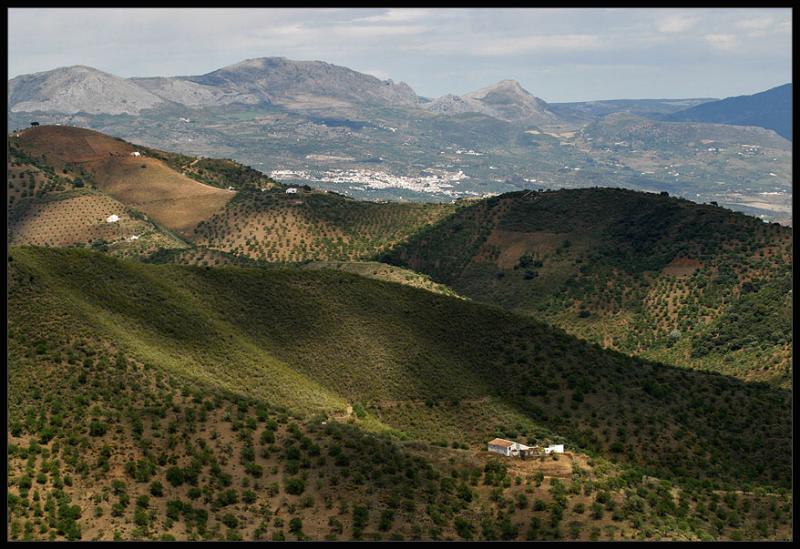 driving in direction Malaga