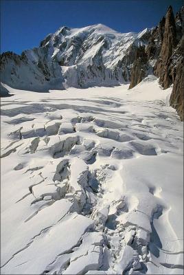 Glacier fields