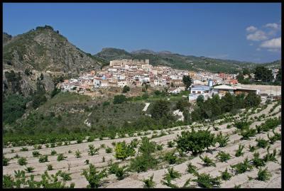 white Village in direction Albacete