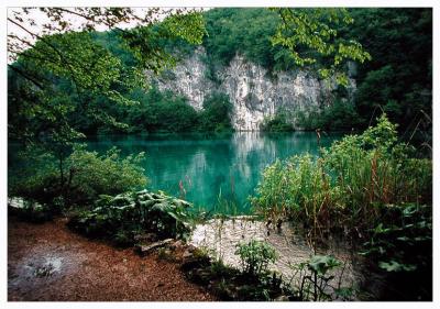 green water,Lakes of Plitvice