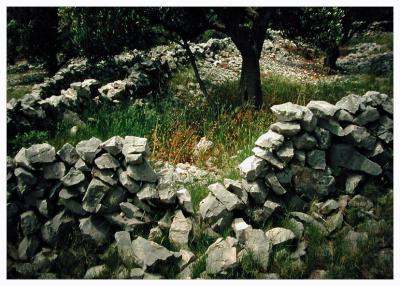 stonewalls and olive trees