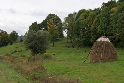 near Bihač,rural landscape