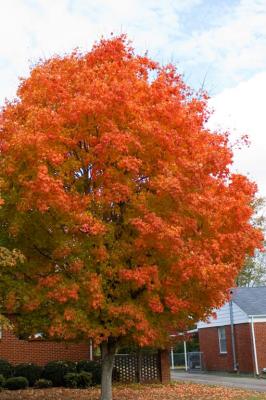Autumn 2005