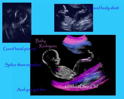  Baby Rodriguez ...The Creation.
