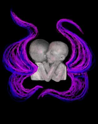 v3/69/475669/3/51041121.ANGEL4mpixTWINS.jpg
